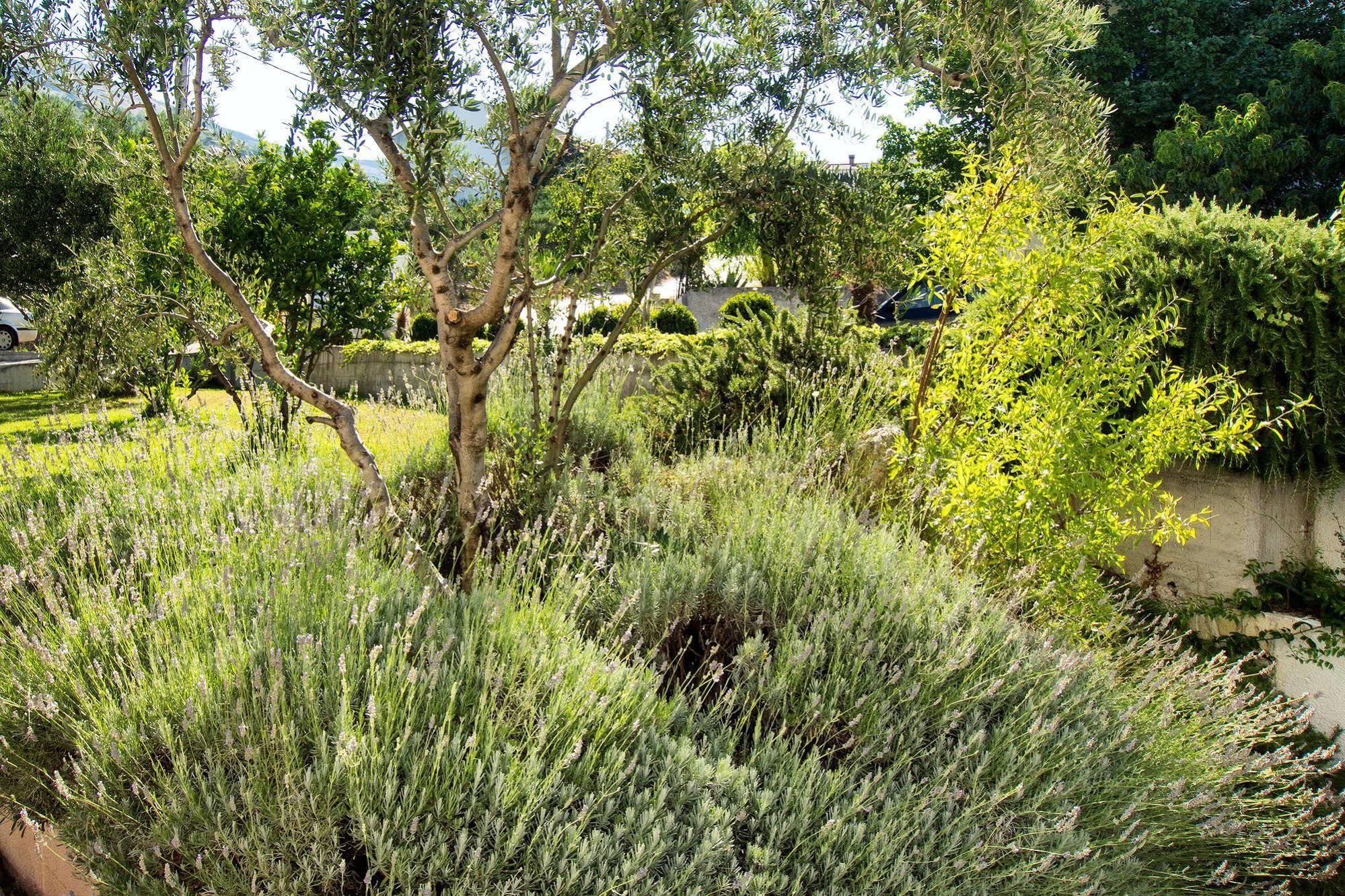 Villa Lavanda Ποντστράνα Εξωτερικό φωτογραφία