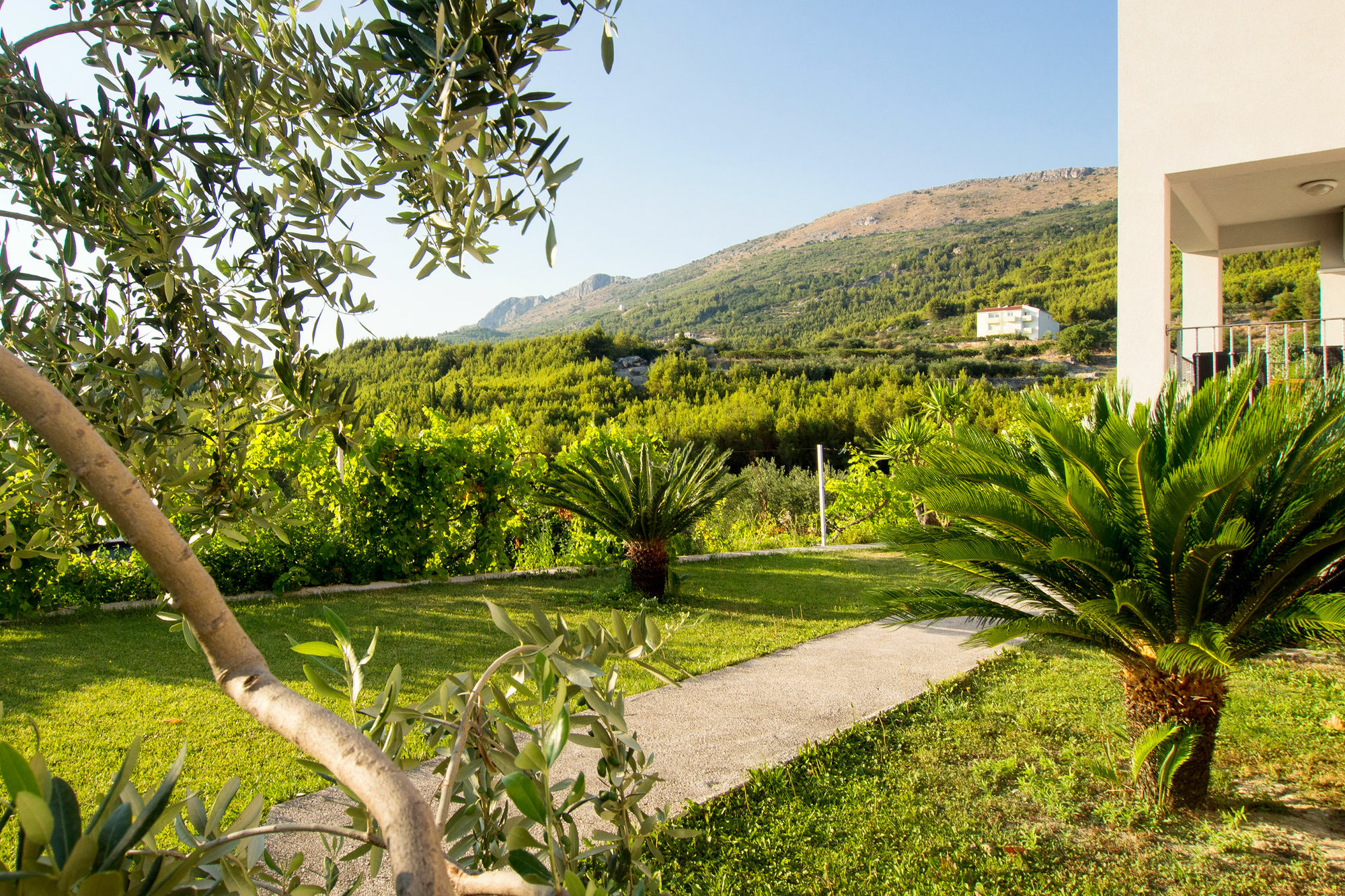 Villa Lavanda Ποντστράνα Εξωτερικό φωτογραφία